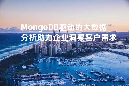 MongoDB驱动的大数据分析助力企业洞察客户需求