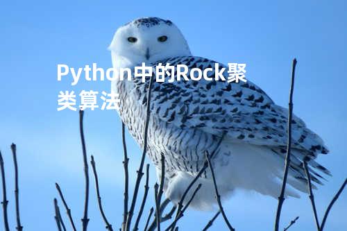 Python中的Rock聚类算法