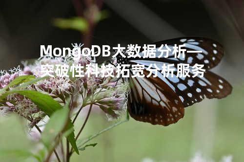 MongoDB大数据分析—突破性科技拓宽分析服务