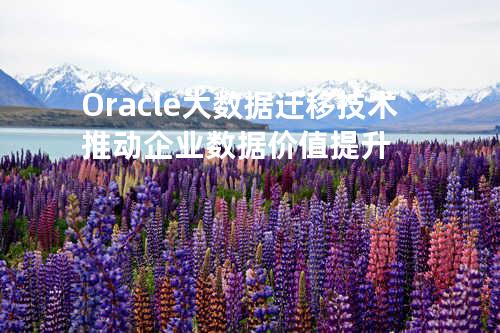 Oracle大数据迁移技术推动企业数据价值提升